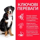 Сухий корм для собак Hill's Science Plan Adult Large Lamb & Rice з ягням та рисом 14 кг (052742025889) - зображення 3