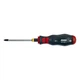 Викрутка WURTH PH ударна 6-гранний стрижень PH2X100 ZEBRA (06133222) - изображение 1