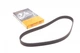 Ремень ГРМ Contitech CT1184 Renault Clio, Scenic, Kadjar, Captur, Kangoo, Megane, Grand Scenic; Dacia Duster, Logan; Nissan Qashqai; Mercedes GLA-Class, CLA-Class, B-Class, A-Class; Infiniti Q A6079930597, A6079930497, A6079930397 - изображение 1