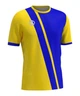 Волейбольна футболка чоловіча RIGO AKIMBO Blue-Yellow 2XL - зображення 1
