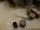 Насадки для гравера ( Dremel ) пелюсткові (3шт + тримач) - изображение 4