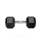 Гексагональна гантель Fitnessport FF 51D2C-46 кг - зображення 1