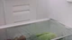 Роздільник полиці в холодильнику JOSEPH JOSEPH FridgeStore 15.5x5.5x20.5 см (851665_JJ) - зображення 2