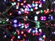 Светодиодная гирлянда разноцветная MOD 500 LED-лампочек - изображение 2