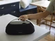 Акустика Harman-Kardon Go+Play 3 Black (HKGOPLAY3BLKEP) - изображение 7