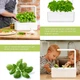 Гидропонная установка Click&Grow Белая (7205 SG3) - изображение 10