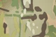 Тканина для спецодягу Kord 4Wstretch Multicam 1 пог. м - зображення 2