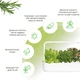 Гидропонная установка Click&Grow 8868 SG9 Белая (8868 SG9) - изображение 4