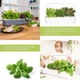 Гидропонная установка Click&Grow 8868 SG9 Белая (8868 SG9) - изображение 10