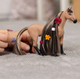 Zestaw do zabawy Schleich Horse Club Sofia’s Beauties Ogier Achal Tekkiner (4059433712635) - obraz 2