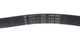 Приводний ремень HUTCHINSON 1692 K 6 Hyundai Tucson, Coupe, Trajet, Santa Fe, Sonata; Audi A6, 100; KIA Sportage, Magentis; Volkswagen Transporter; Renault Clio; Toyota Corolla 054903137F, 054903137B, 074145933AJ - зображення 3