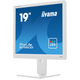 Монитор iiyama B1980D-W5 - изображение 11