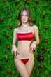 Комплект женский топ и мини-стринги из микрофибры Felisiya Lingerie Красный 2002+273-101а001 XL - изображение 2