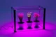 Мини-теплица с фито светом для дома Metaplant Sezam L Duo Bicolor - изображение 1