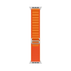 Ремінець Alpine Loop для Apple Watch 46 mm (Series 10 | 11) orange - зображення 4
