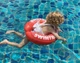 Надувний круг для плавання SWIMTRAINER червоний з 3 місяців до 4 років (6 - 18 кг) - изображение 2