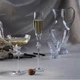 Набор из 2 бокалов для просекко Rogaska Omega 250 мл (129824) - изображение 2
