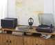 Проигрыватель винила JBL SPINNER BT Gold (JBLSPINNERBTGLDEU) - изображение 8