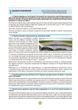 Комплект Екстрена допомога в разі ДТП + Правила дорожнього руху України 2026 (ПДР 2026) з коментарями + Підручник з будови автомобіля + Тести ПДР - зображення 3