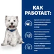 Сухий корм для собак Hill's Prescription Diet Derm Complete Mini 1 кг - яйця та рис - зображення 5