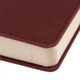 Ежедневник Leo Planner Destiny 2024 А5 368л слп/т коричневый (5056574423689) - изображение 5