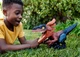 Світ Юрського періоду Пірораптор Інтерактивний Динозавр Jurassic World Pyroraptor GYW89 - зображення 7