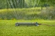Zraszacz oscylacyjny Gardena AquaZoom L (4078500048118) - obraz 5