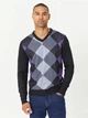 Пуловер мужской Pierre Cardin RGYL KNTTD 31840369 М Серый/Фиолетовый/Черный - изображение 1
