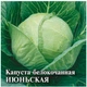 Насіння Капуста білокачанна Іюнська НК Еліт 1 г - зображення 2
