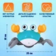 Интерактивная Игрушка Убегающий, Танцующий Краб с Музыкой, Светом, Сенсорами на Аккумуляторе - изображение 10