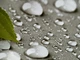 Кухонний фартух Квіти яблуні Краплі води (наклейка для кухні ПВХ плівка скіналі) Текстура 60*300 cм - зображення 13
