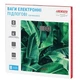 Весы напольные электронные ARDESTO LEAVES 150кг 2 х ААА в комплекте зеленые (SCB-965LEAVES) - изображение 7
