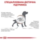 Корм для собак ROYAL CANIN GASTRO INTESTINAL DOG 2.0 кг (39110201) - зображення 2