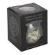Подарочный набор Аромалампа + аромавоск Mabon Wax Melt Burner Gift Set by Anne Stokes - изображение 5
