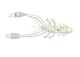 Силиконовая креветка для микроджига Reins Ring Shrimp 2" #318 Clear Pearl Silver (съедобная, 12шт) - изображение 2