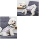 Куртка для собак "Silver" SUPER STEP Size S - изображение 4