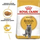 Сухой корм для кошек Royal Canin British Shorthair Adult для породы Британская короткошерстная от 12 месяцев 10 кг - изображение 2