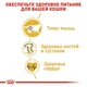Сухой корм для кошек Royal Canin British Shorthair Adult для породы Британская короткошерстная от 12 месяцев 10 кг - изображение 3