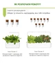 Сменный картридж Click&Grow Салат Ромен 3 шт (4742793008820) - изображение 8
