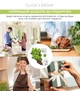 Сменный картридж Click&Grow Салат Ромен 3 шт (4742793008820) - изображение 10