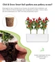 Сменный картридж Click&Grow Перец Чили 3 шт (4742793007311) - изображение 3