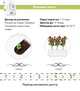 Сменный картридж Click&Grow Перец Чили 3 шт (4742793007311) - изображение 5