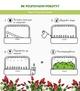 Сменный картридж Click&Grow Перец Чили 3 шт (4742793007311) - изображение 8