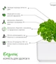 Сменный картридж Click&Grow Базилик 3 шт (4742793007199) - изображение 6