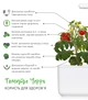 Сменный картридж Click&Grow Мини томат 3 шт (4742793007304) - изображение 6