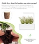 Сменный картридж Click&Grow Тимьян 3 шт (4742793007373) - изображение 3