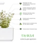 Сменный картридж Click&Grow Тимьян 3 шт (4742793007373) - изображение 6