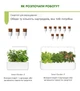 Сменный картридж Click&Grow Мята 3 шт (4742793007397) - изображение 7