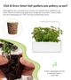 Сменный картридж Click&Grow Дикая клубника (4742793007410) - изображение 3