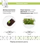 Сменный картридж Click&Grow Дикая клубника (4742793007410) - изображение 5